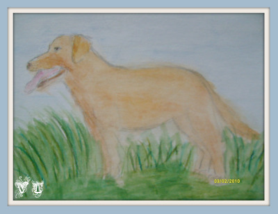 dessin
