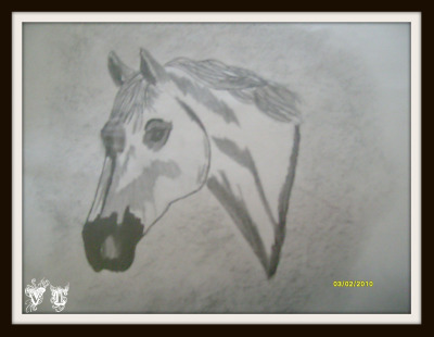 dessin
