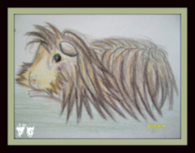 dessin