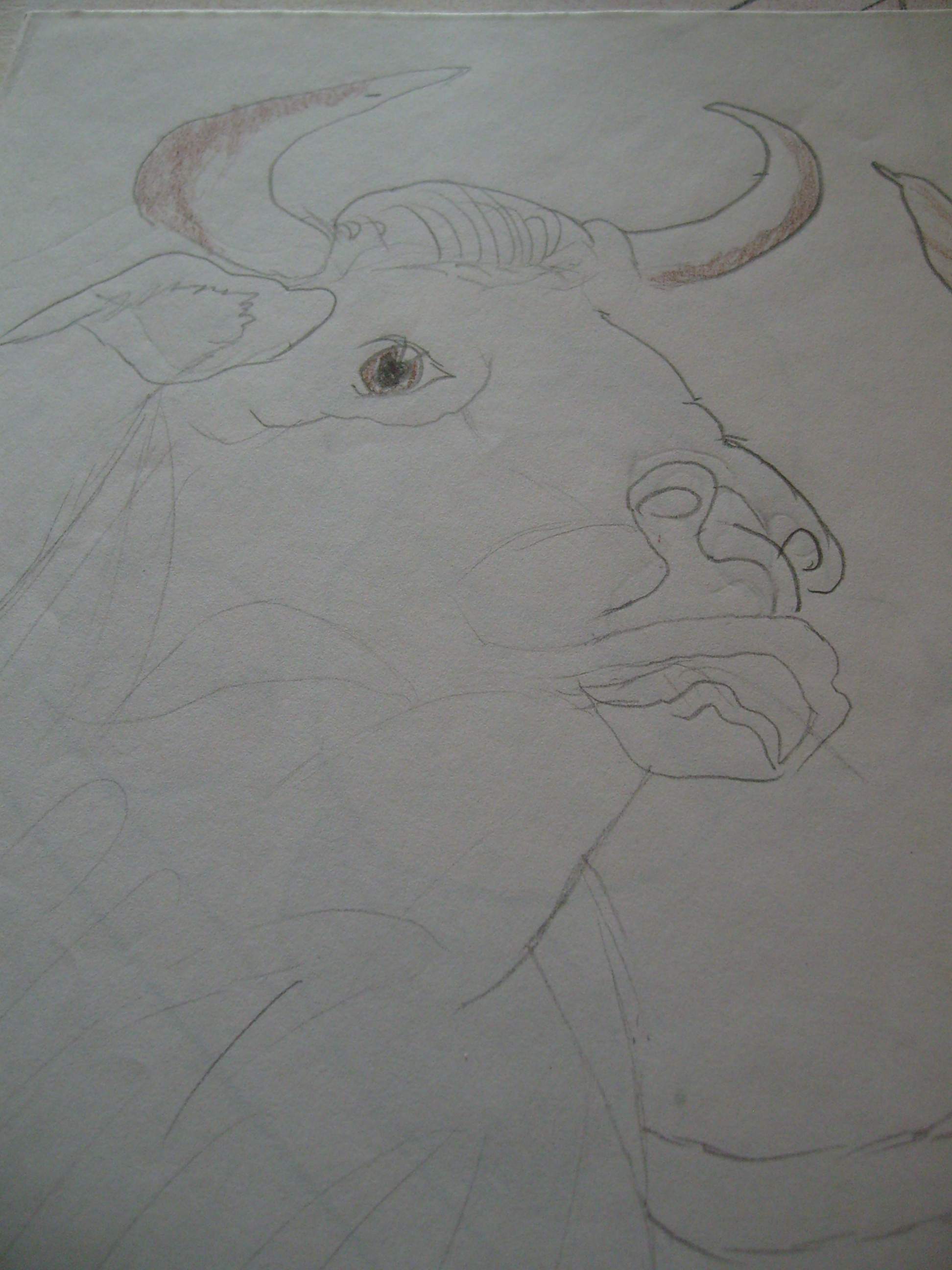 dessin